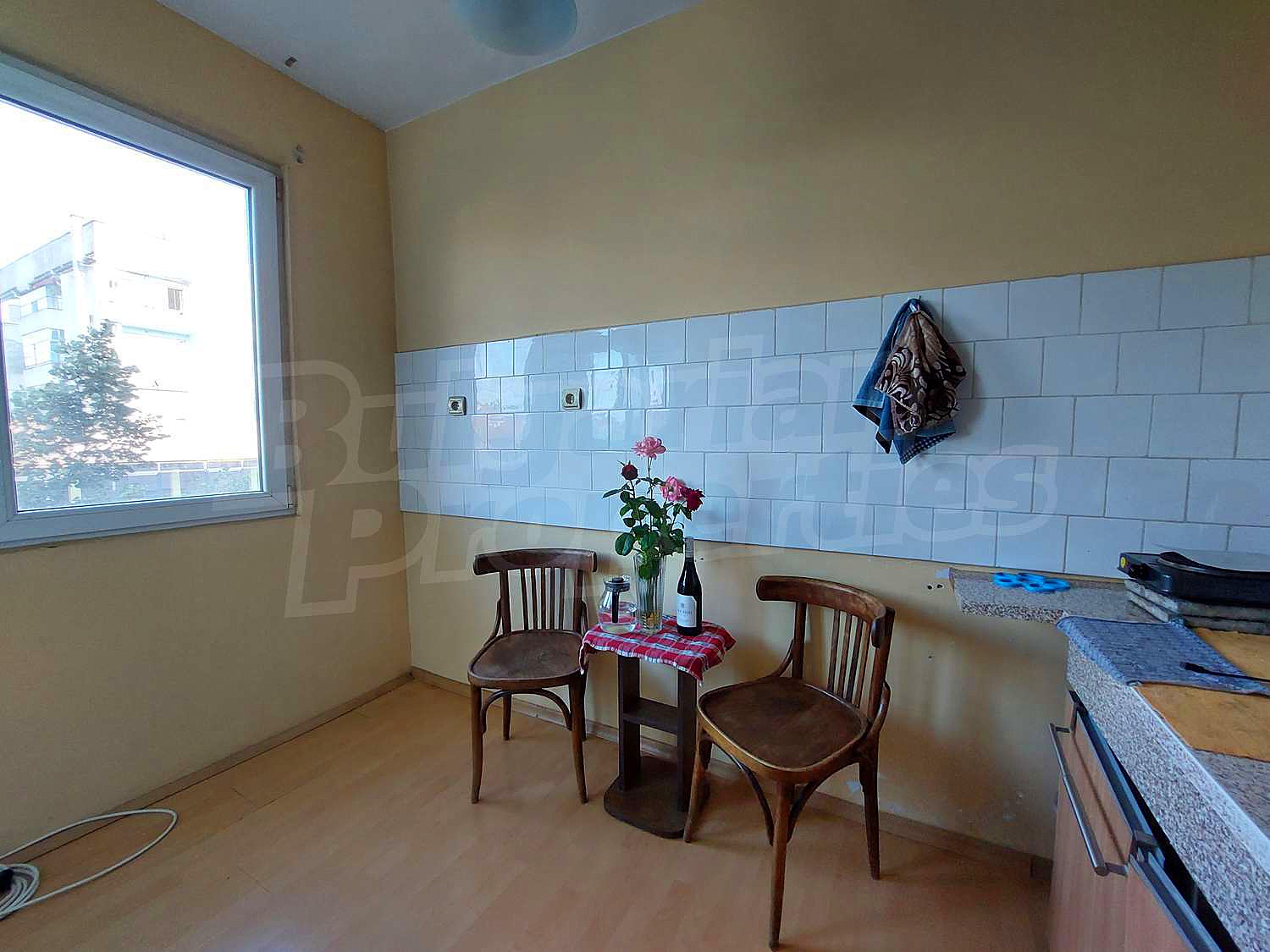 Gallery Picture 12