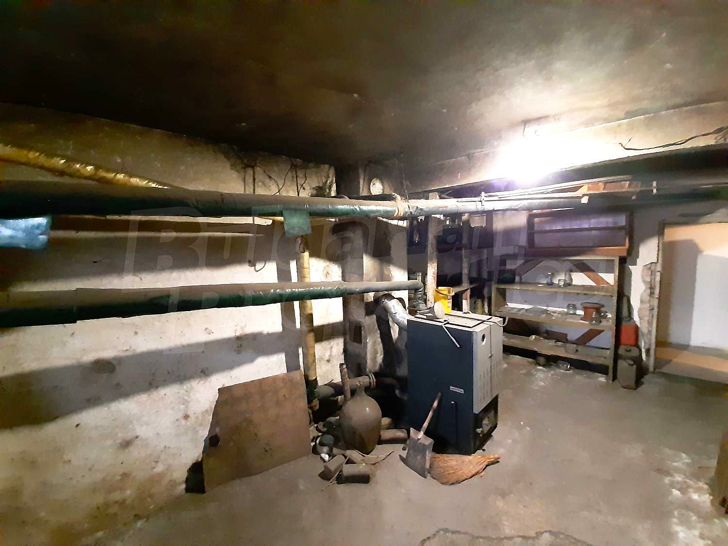 Gallery Picture 17