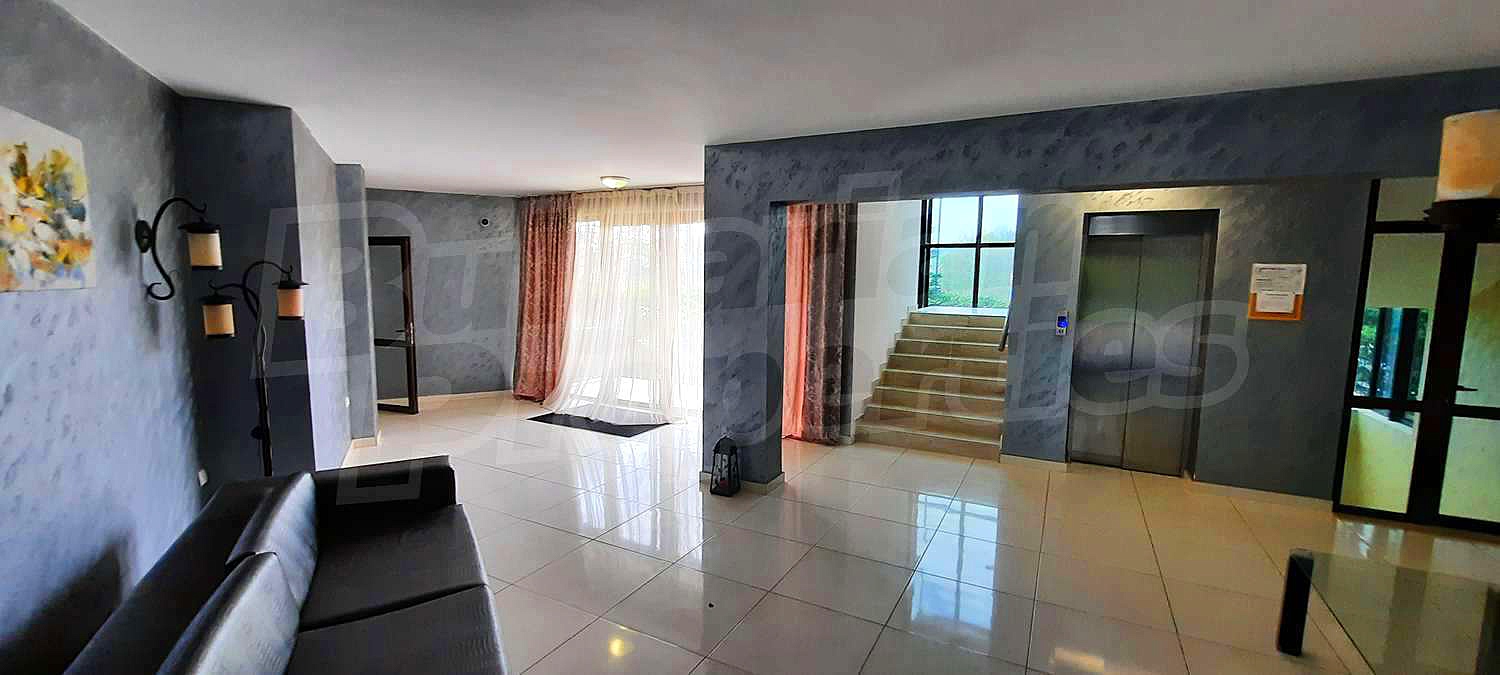 Gallery Picture 16