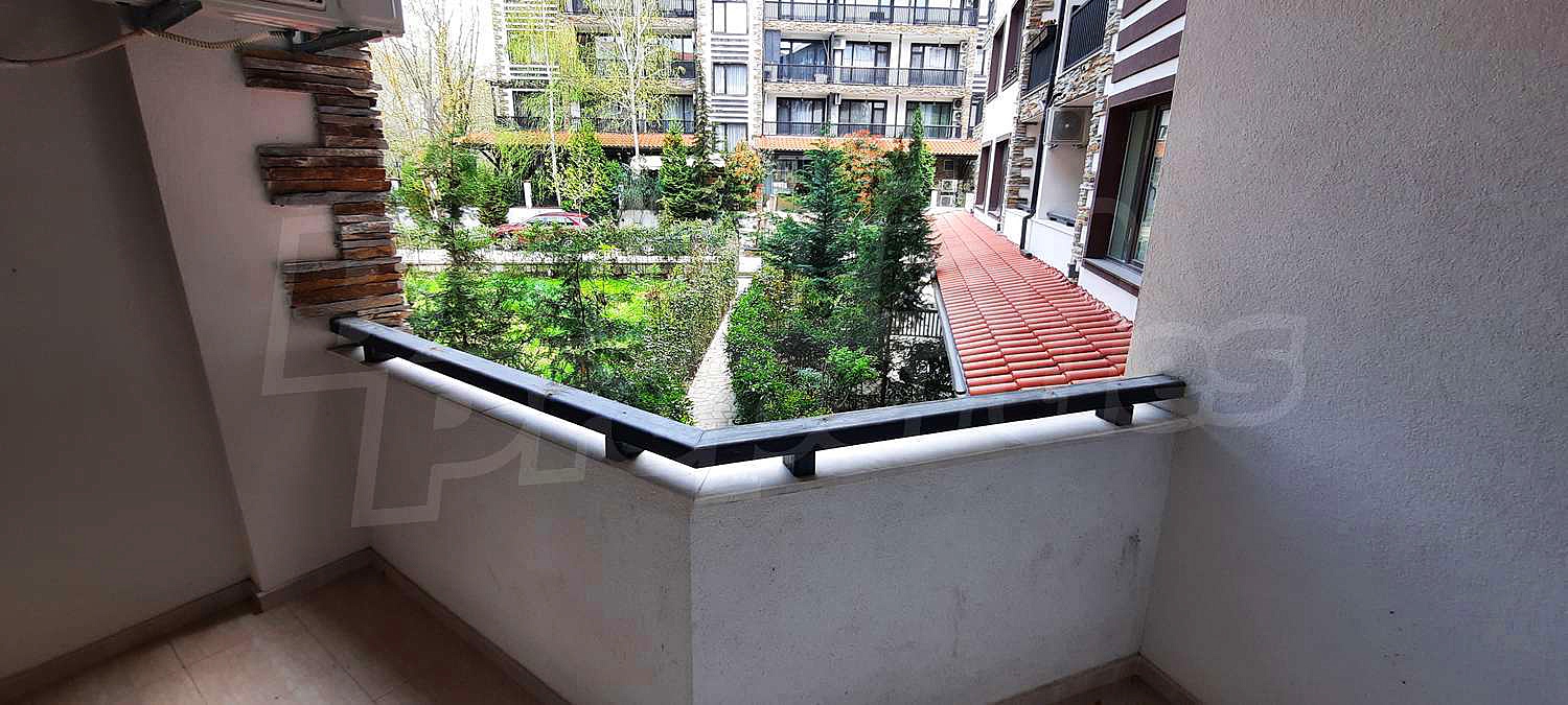Gallery Picture 12