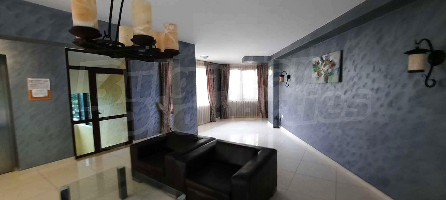 Gallery Picture 17