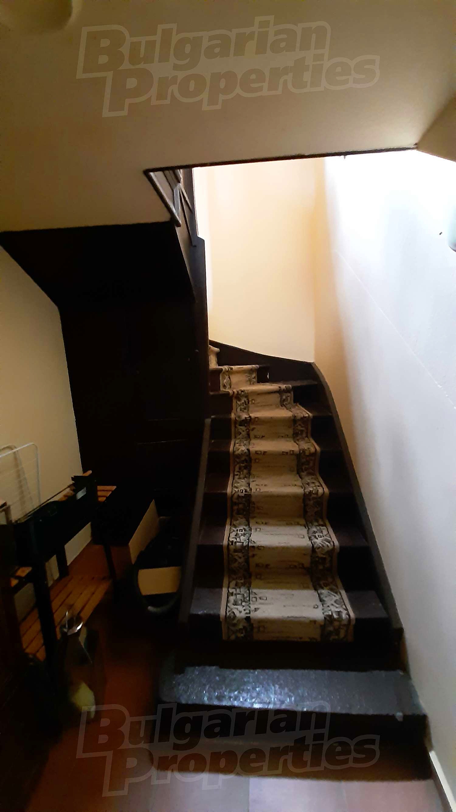 Gallery Picture 14