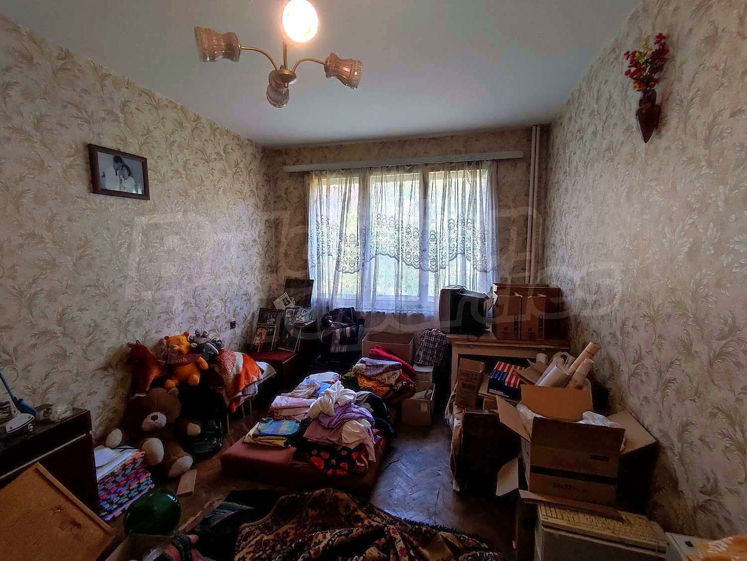 Gallery Picture 8