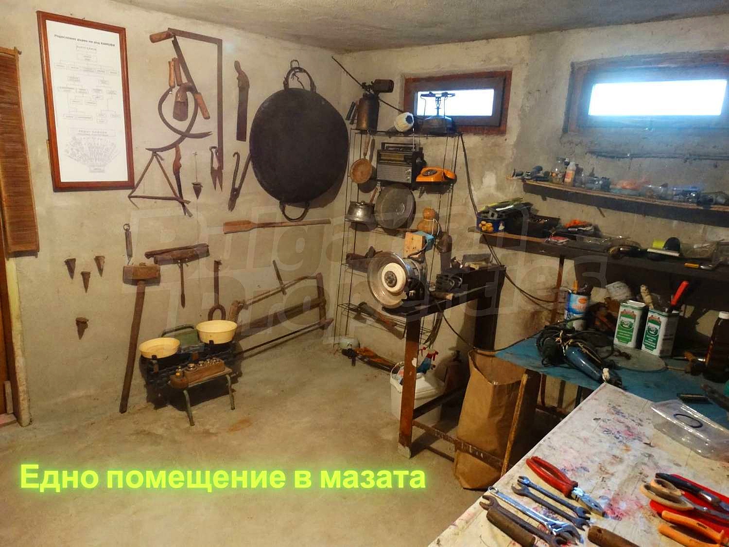Gallery Picture 13