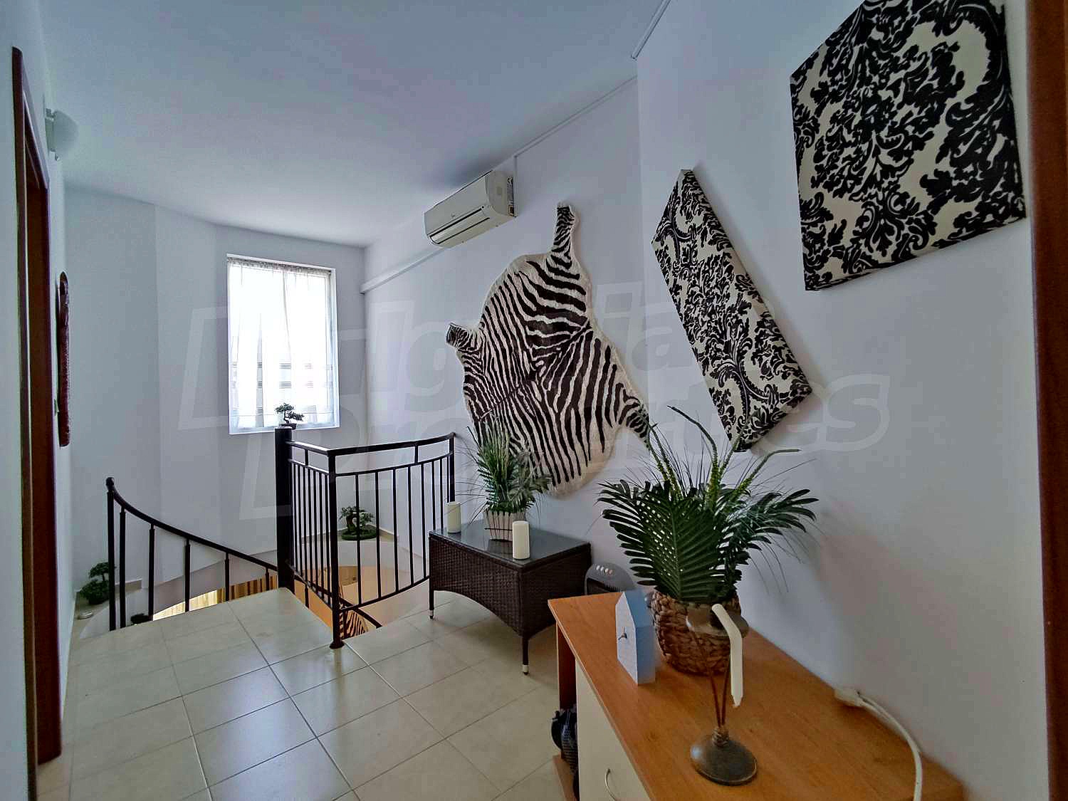 Gallery Picture 27