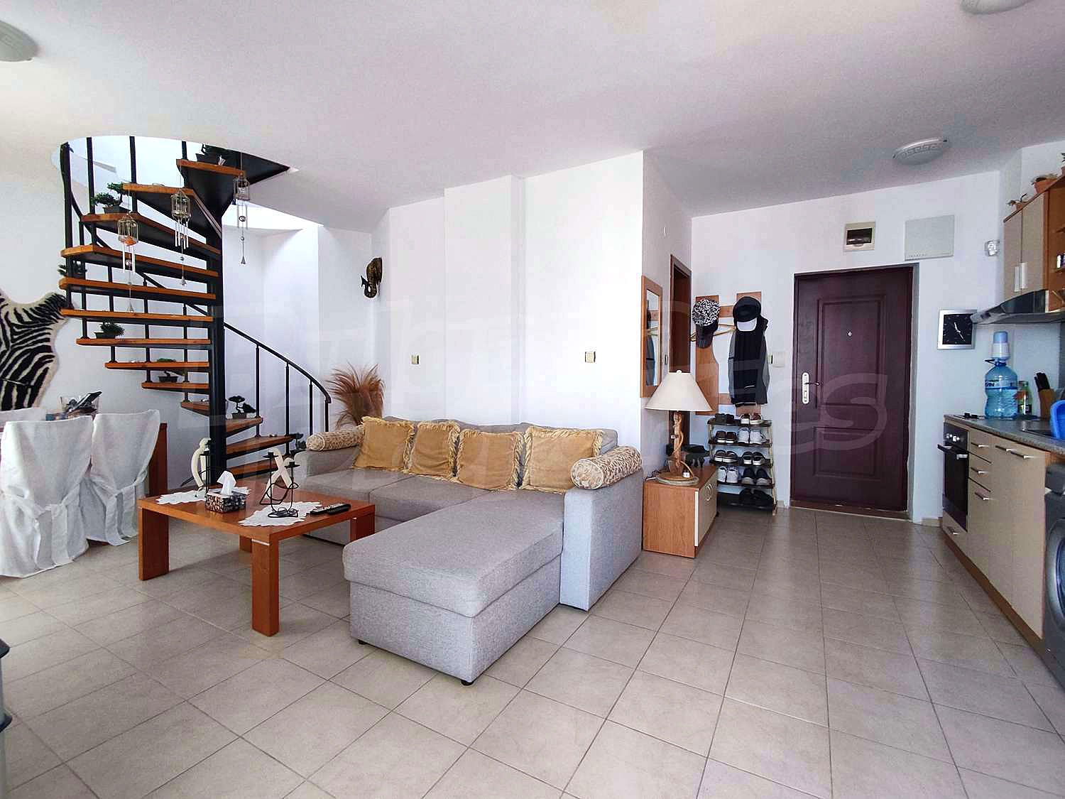 Gallery Picture 19