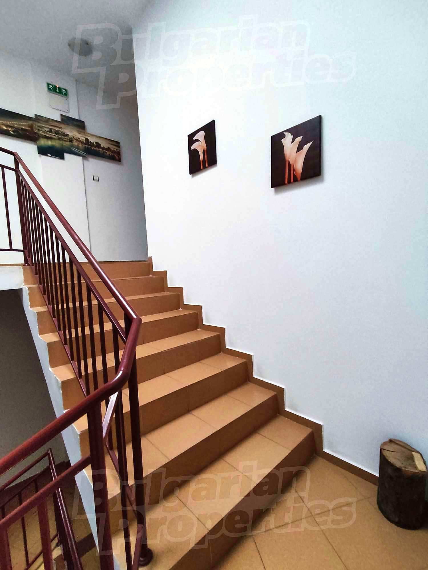 Gallery Picture 49