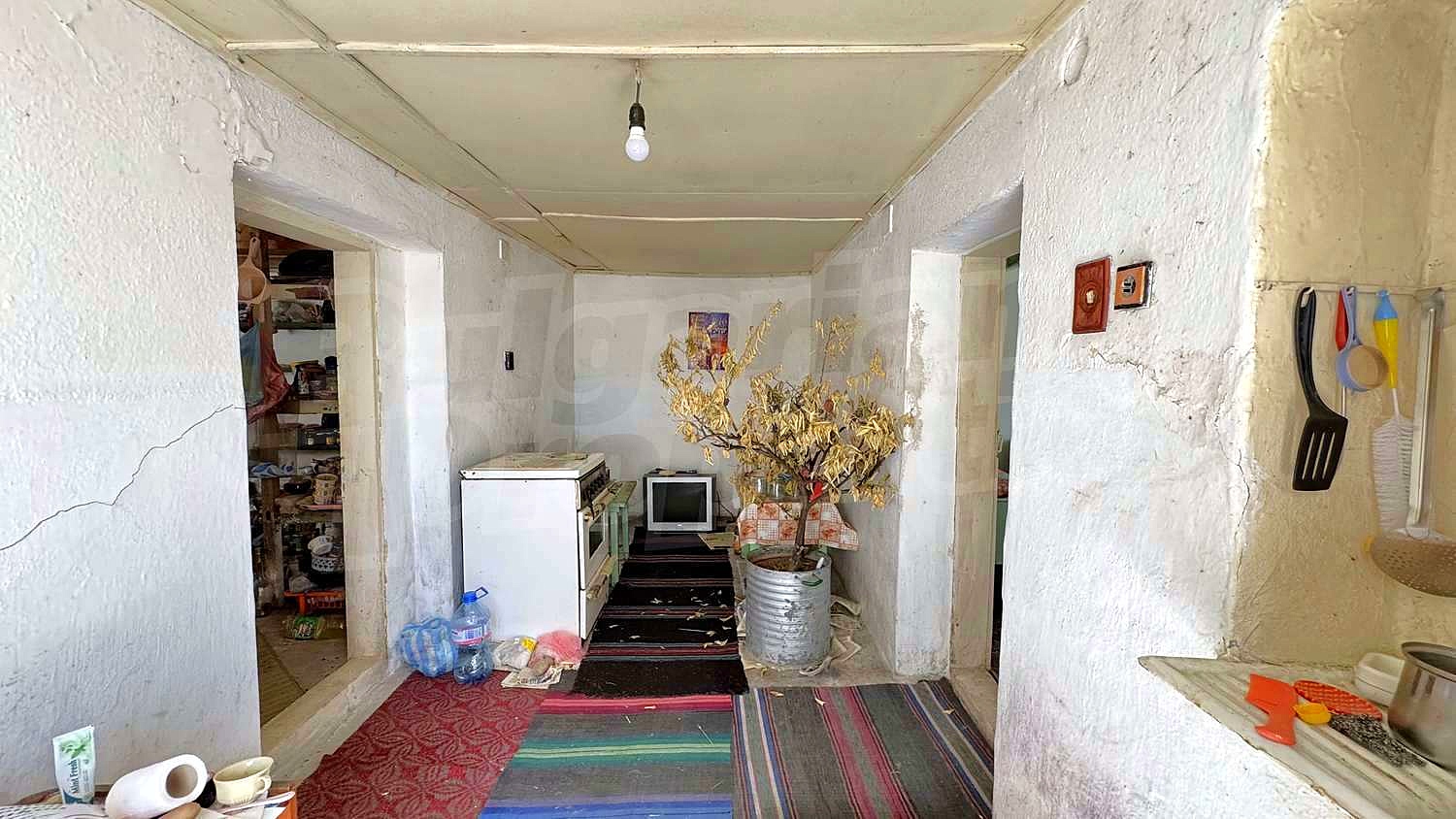 Gallery Picture 12