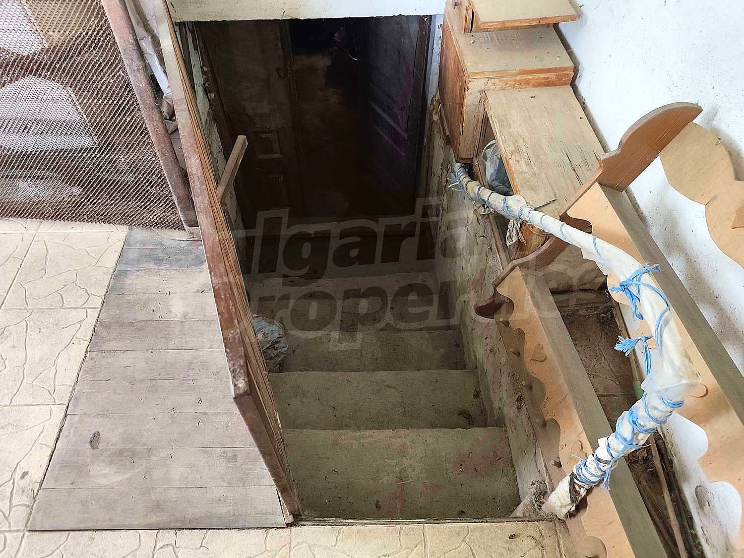 Gallery Picture 25