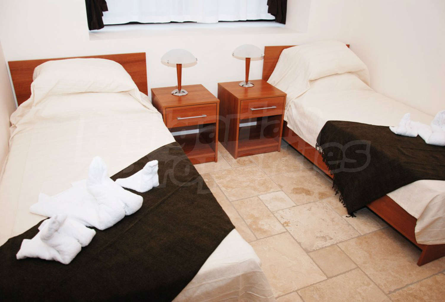 Gallery Picture 41