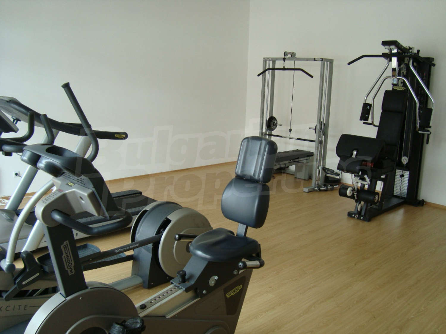 Gallery Picture 55