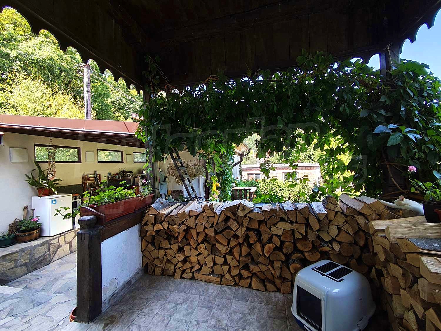 Gallery Picture 35