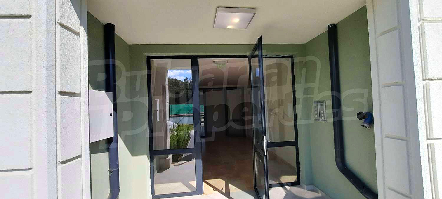 Gallery Picture 31