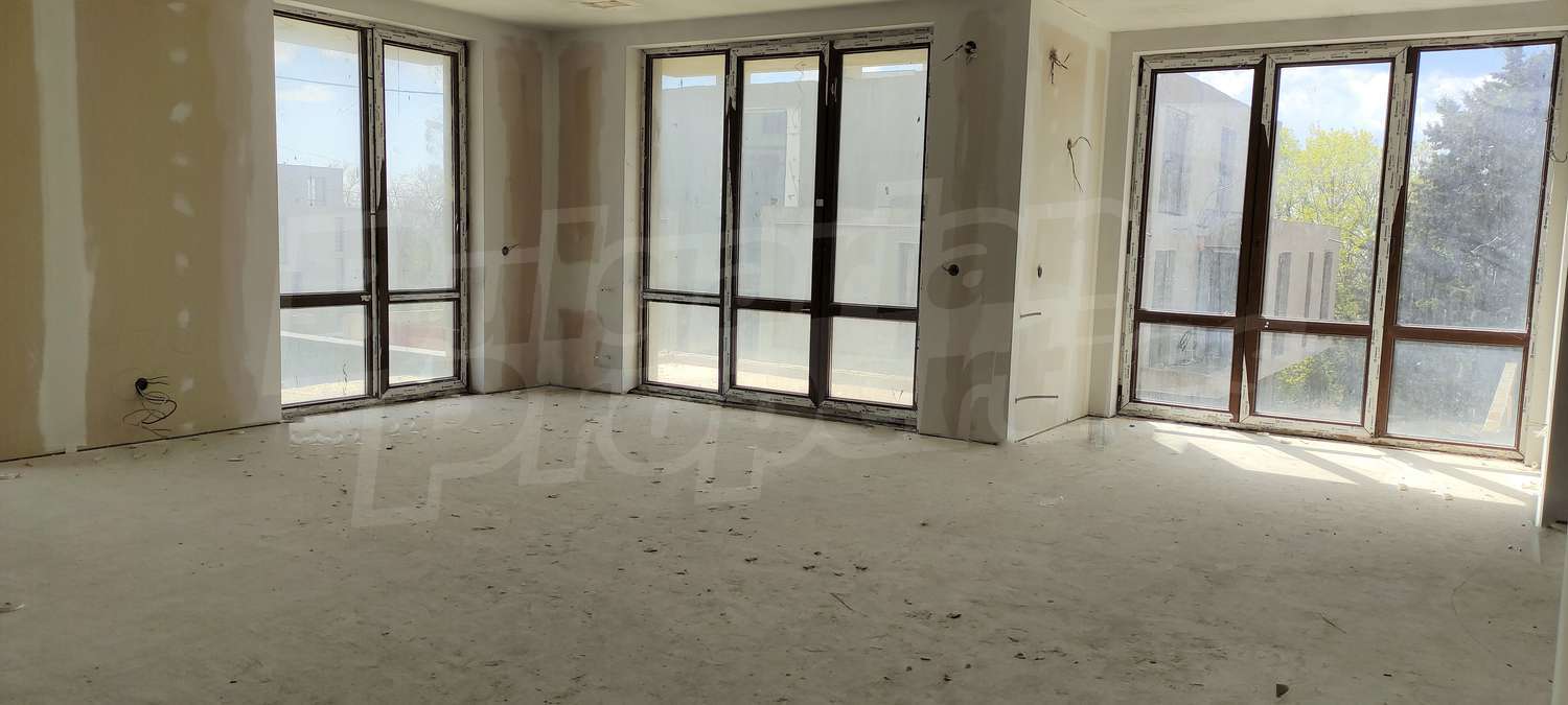Gallery Picture 16