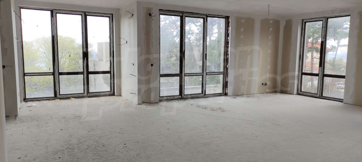 Gallery Picture 12