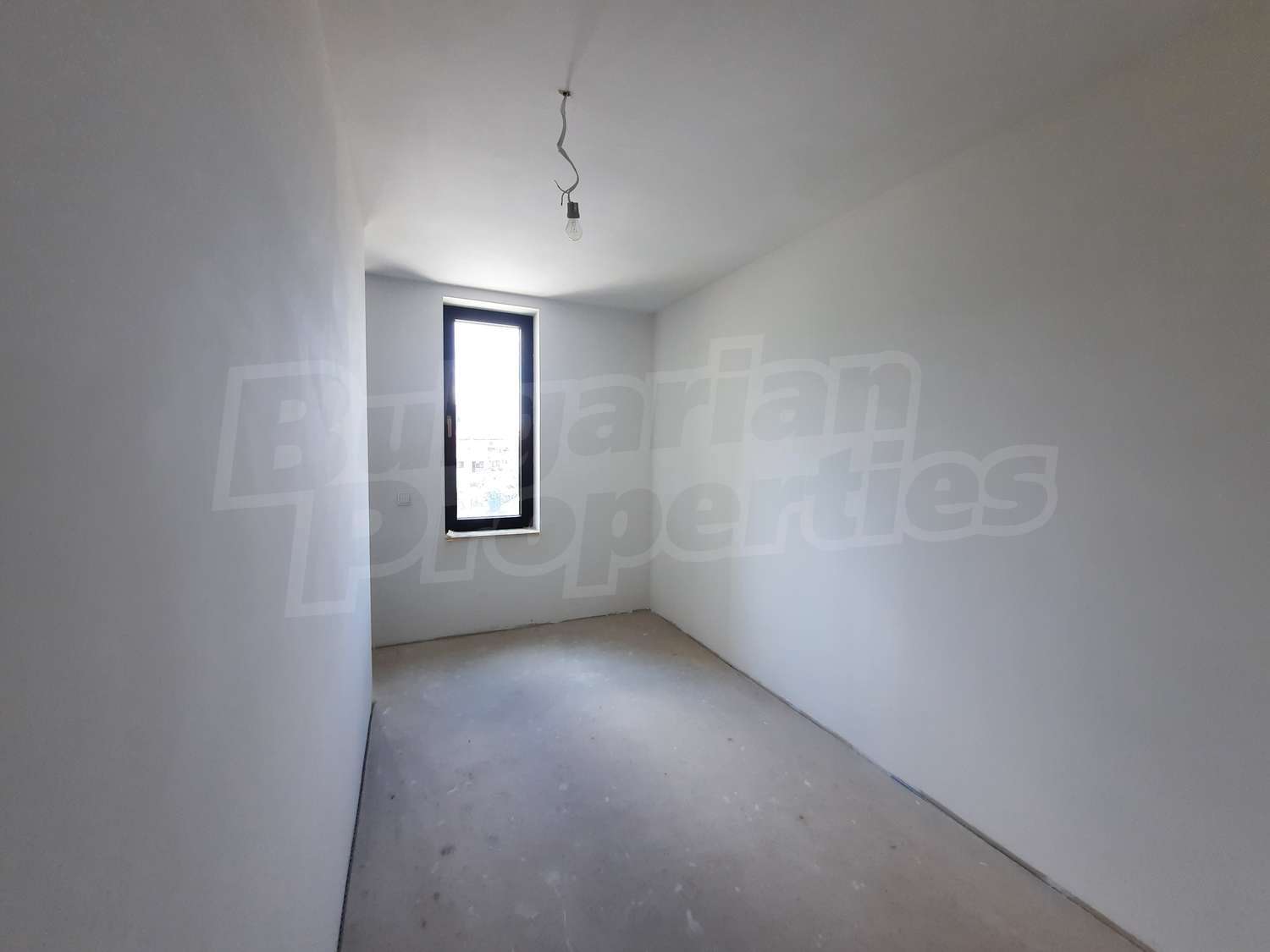 Gallery Picture 14