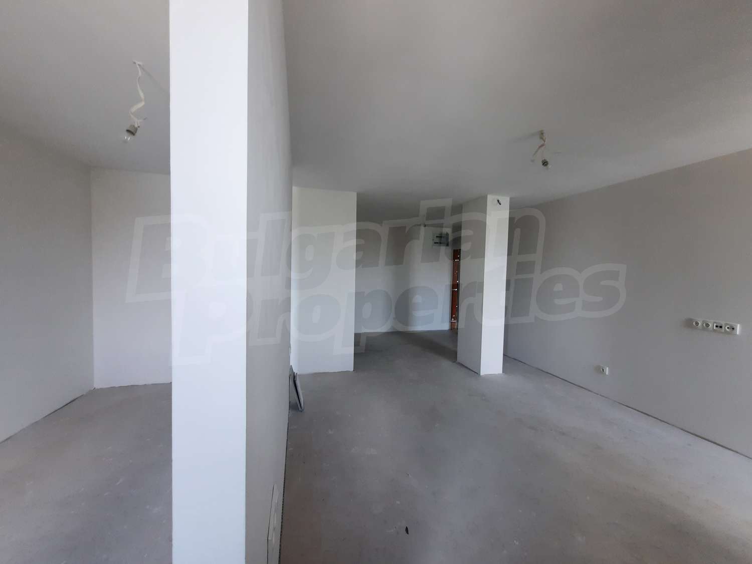 Gallery Picture 15