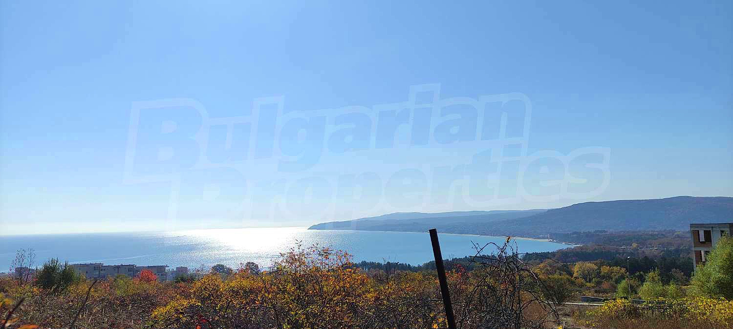 Gallery Picture 8