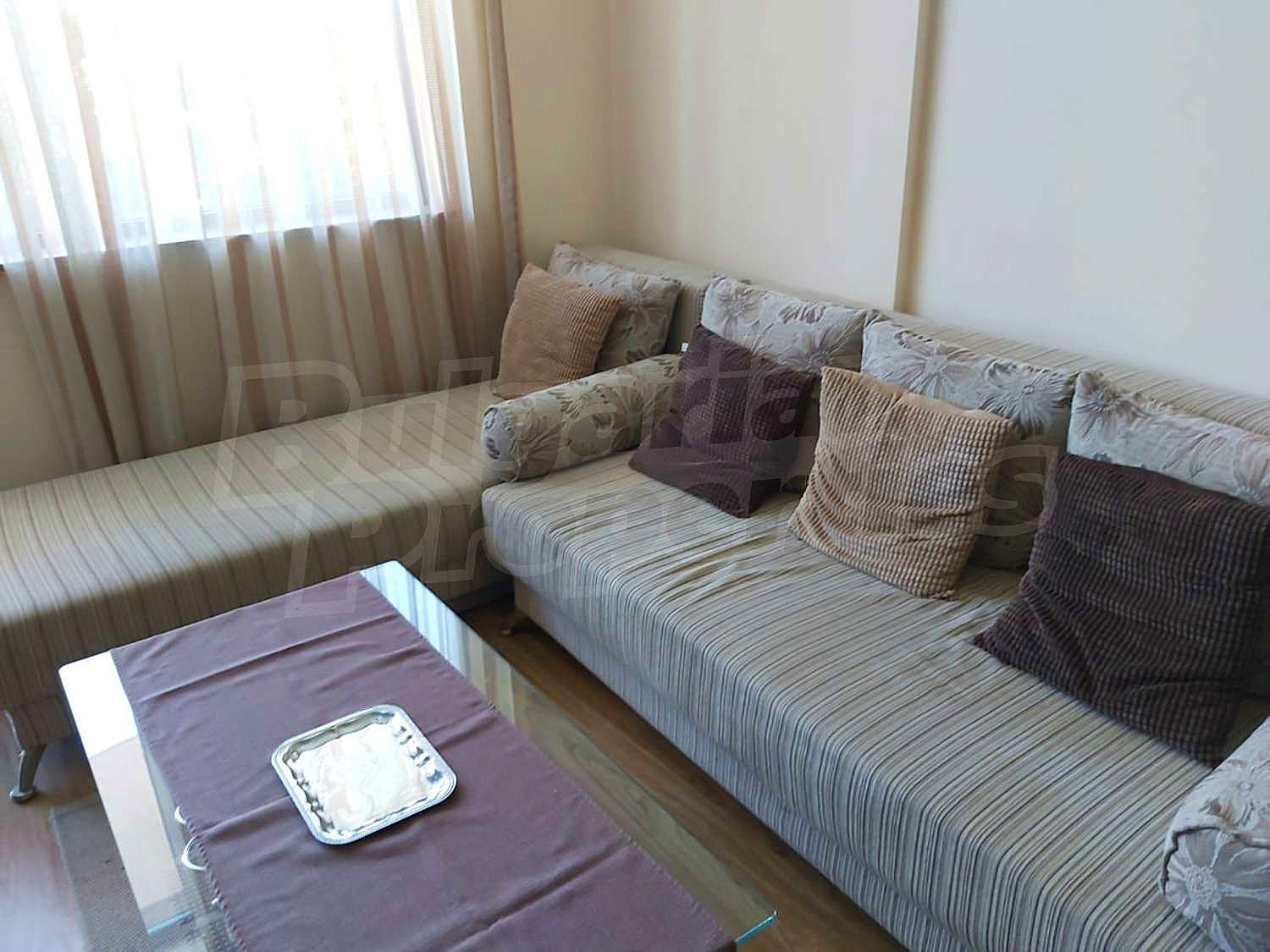 Gallery Picture 6