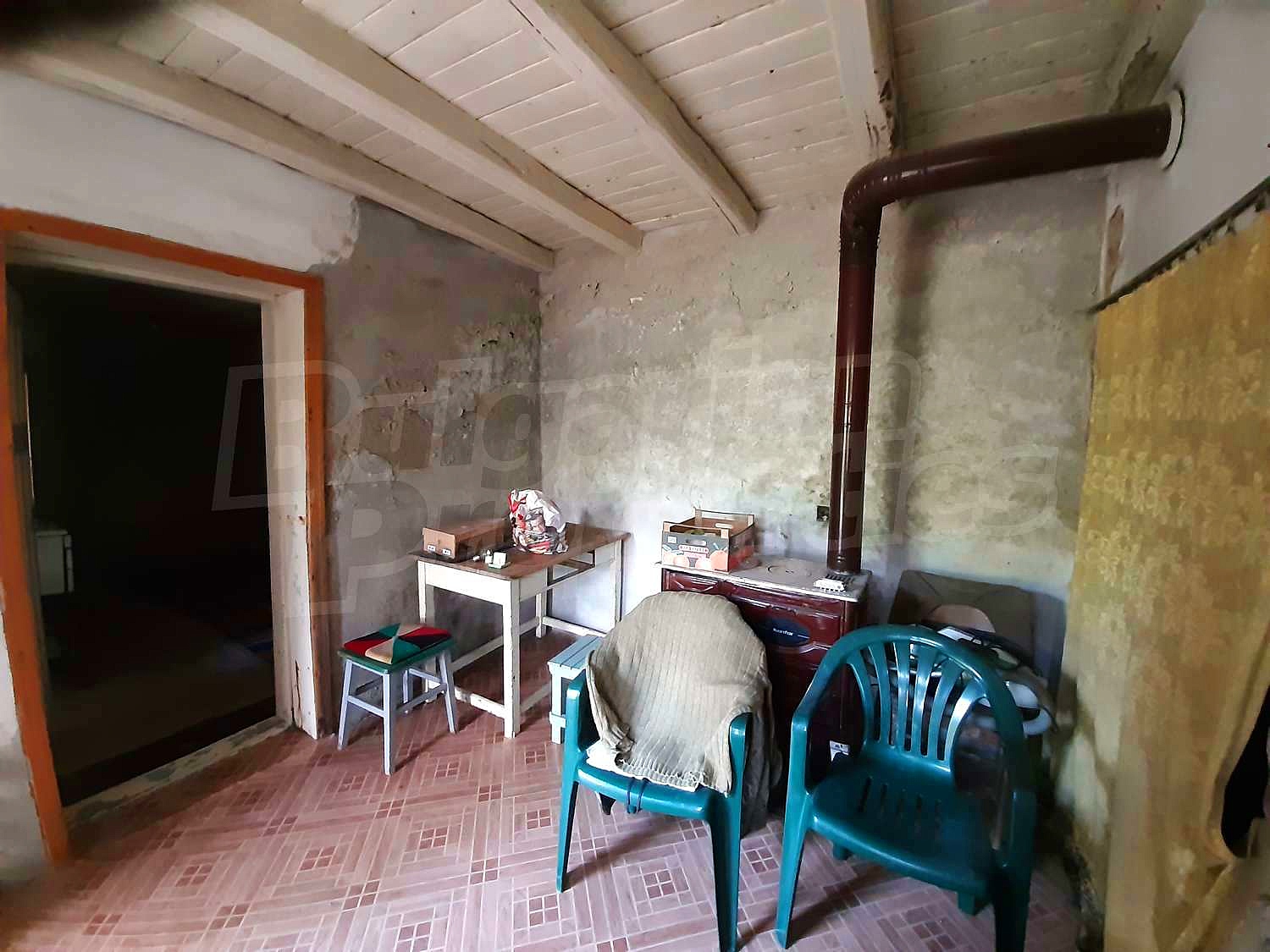 Gallery Picture 19