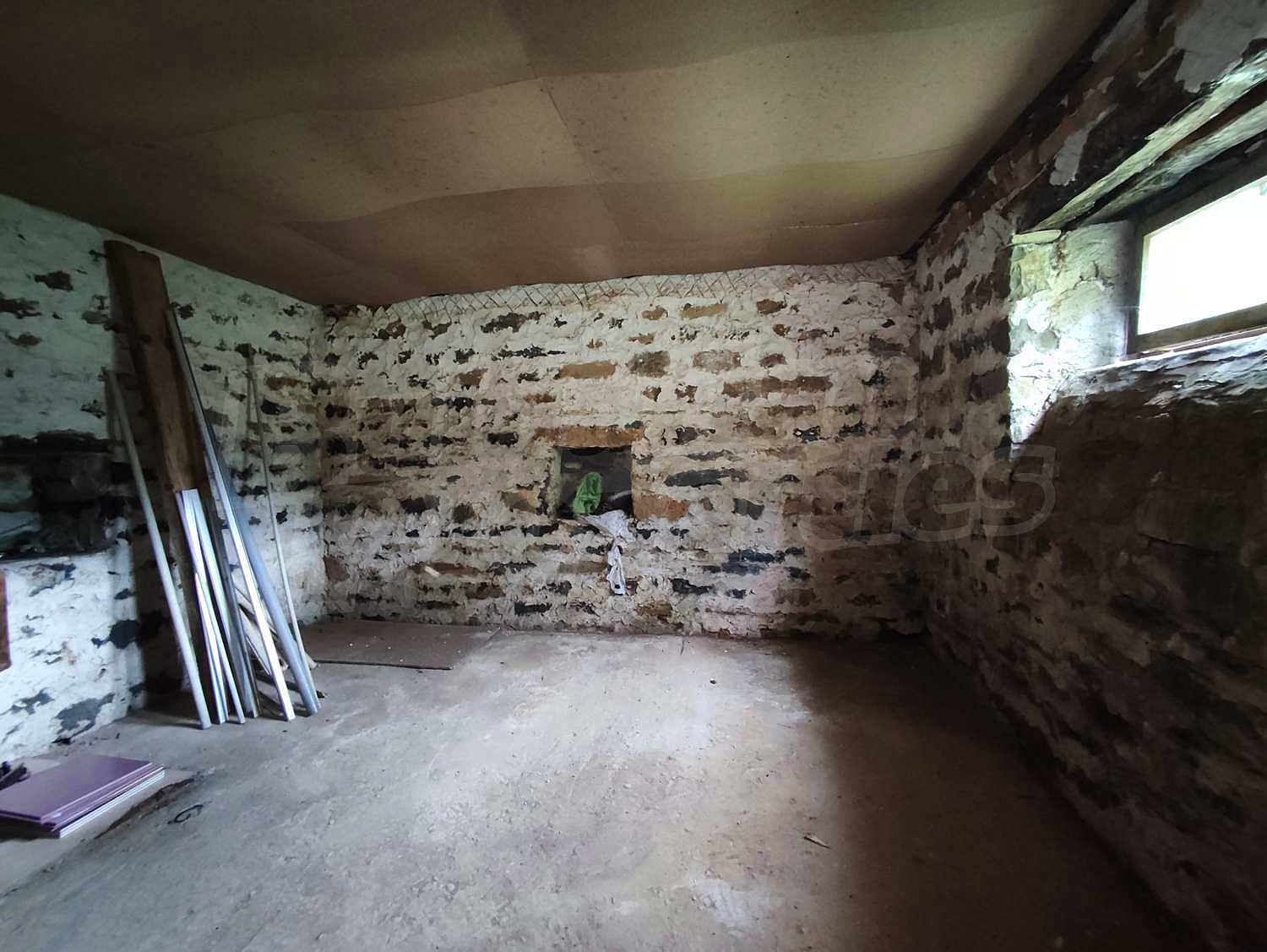 Gallery Picture 16