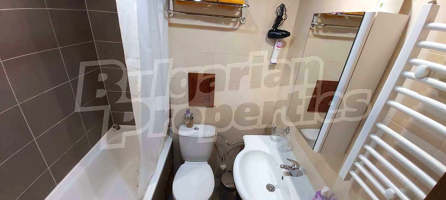 Gallery Picture 13