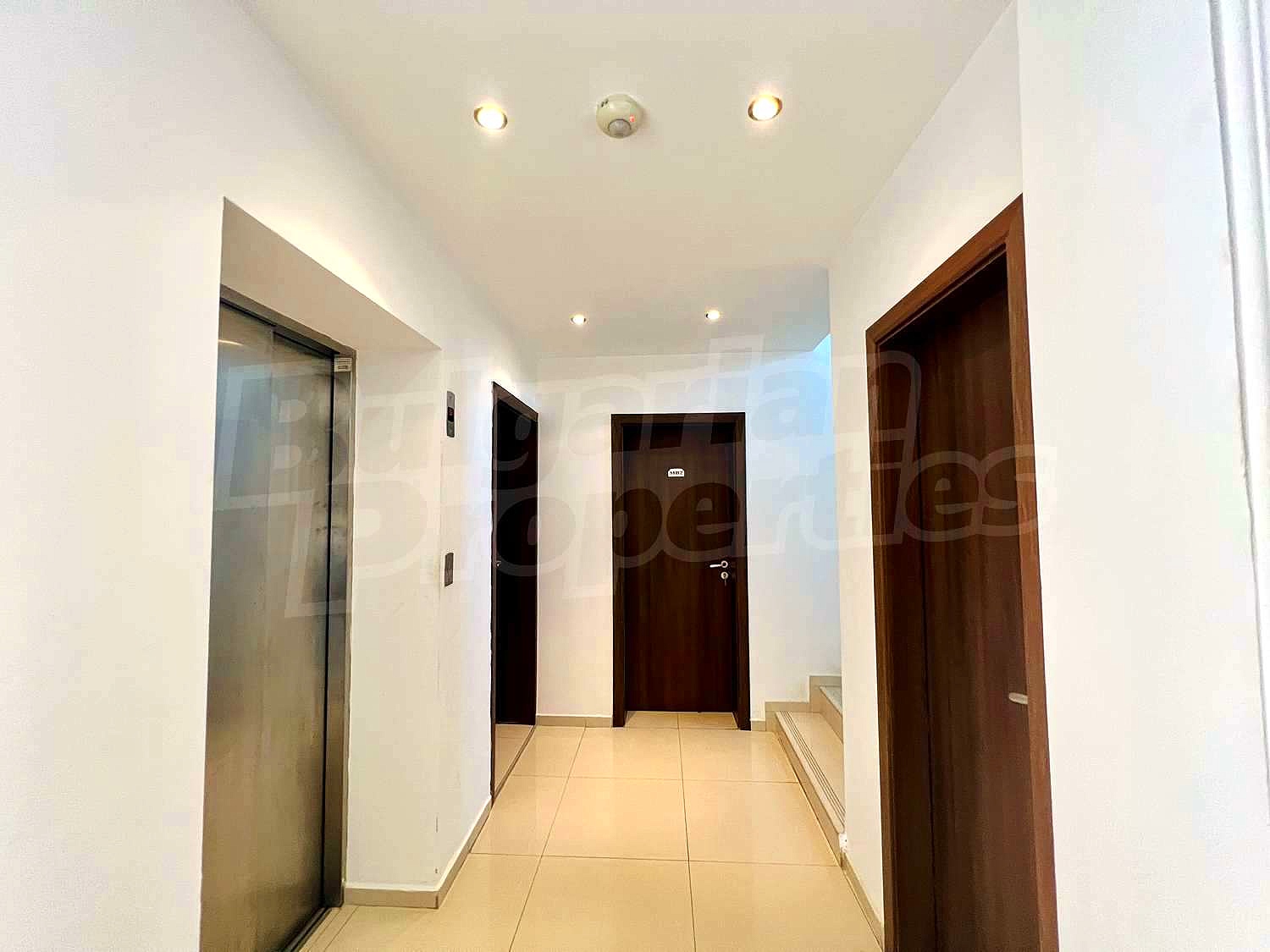 Gallery Picture 68