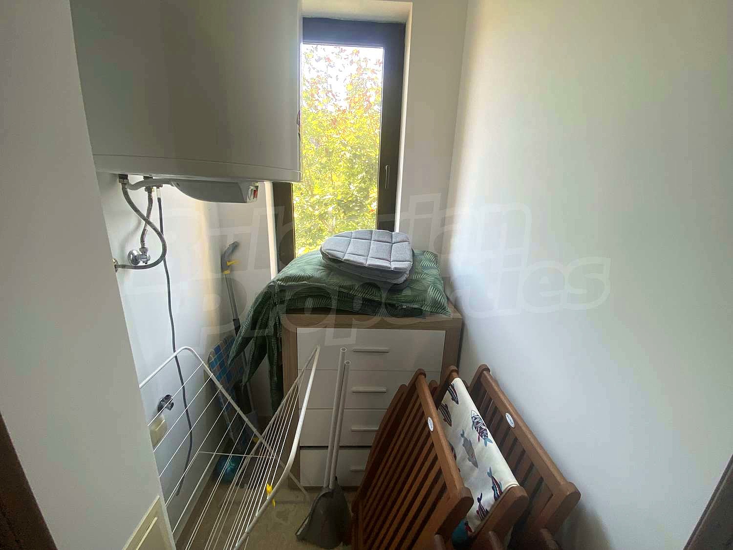 Gallery Picture 26