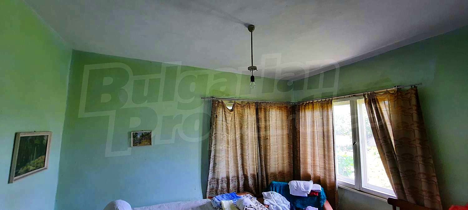 Gallery Picture 5