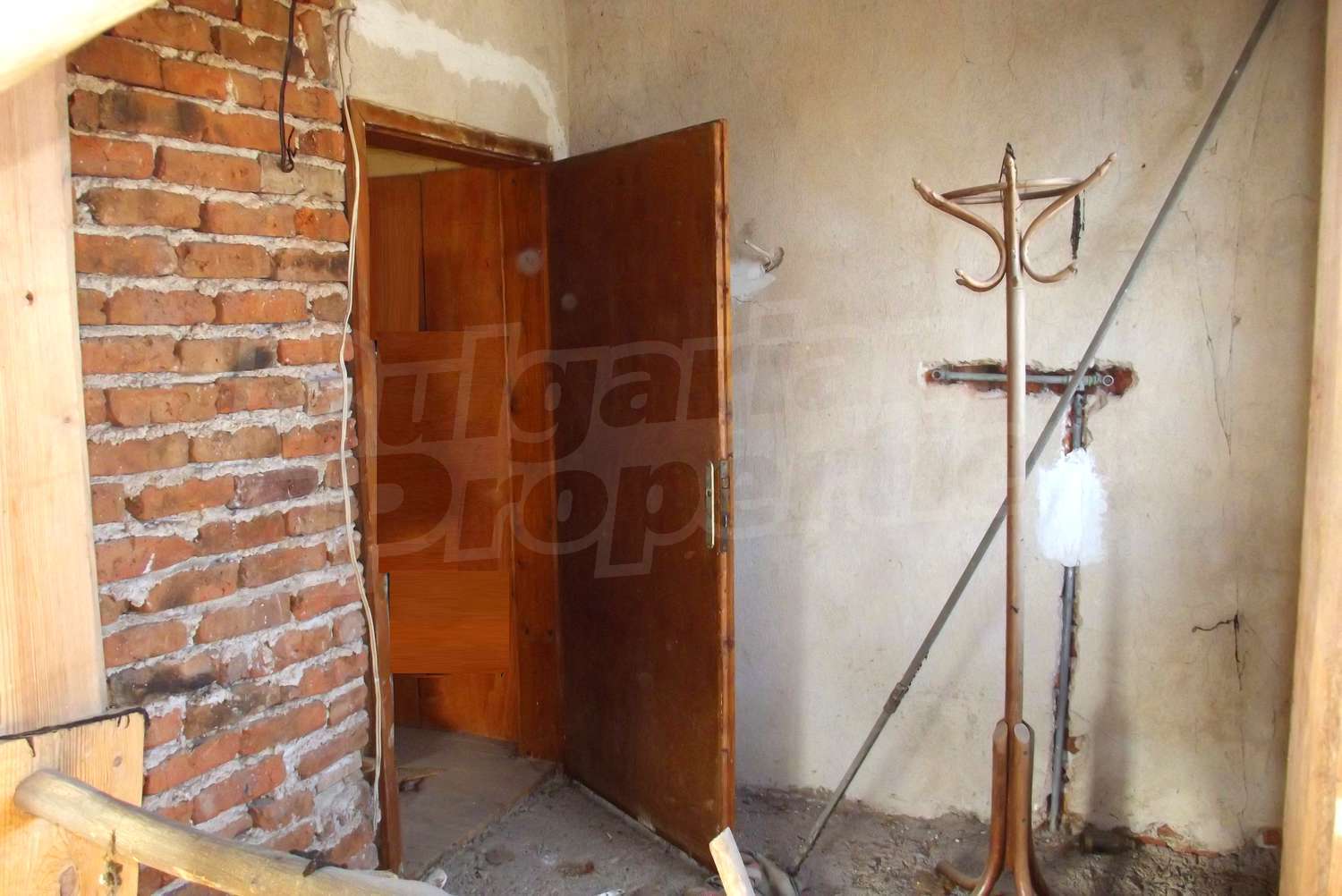 Gallery Picture 10