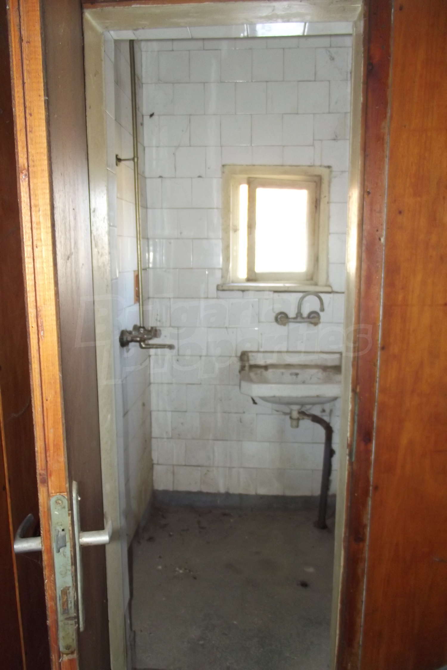 Gallery Picture 19