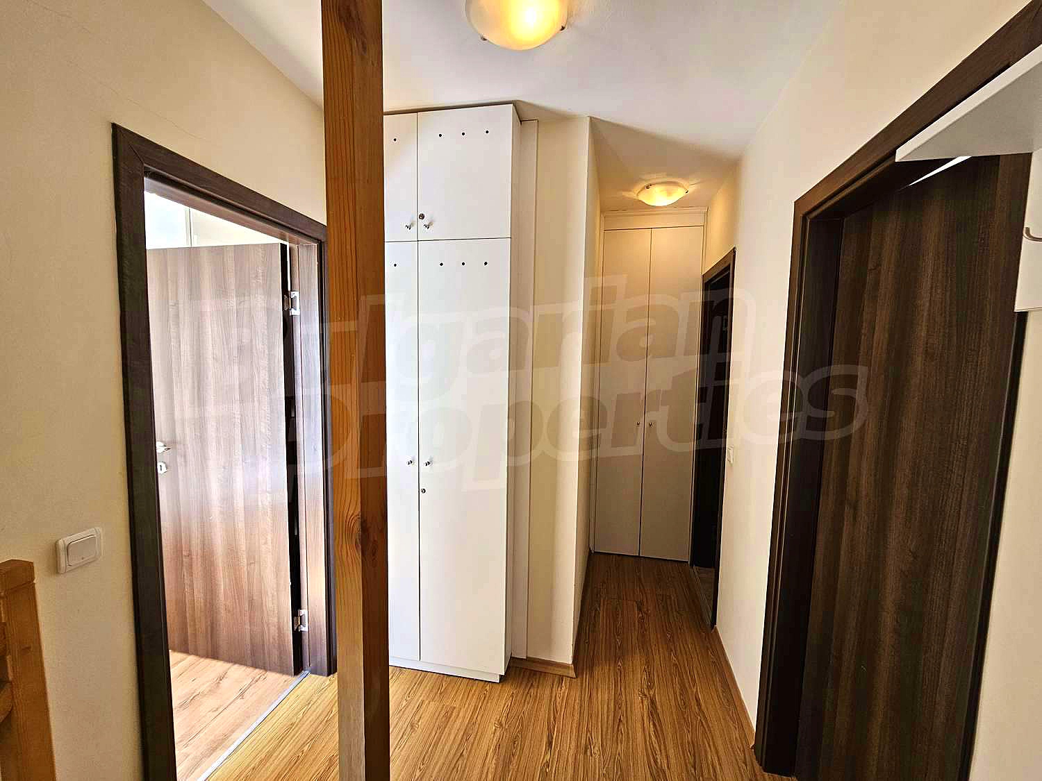 Gallery Picture 19