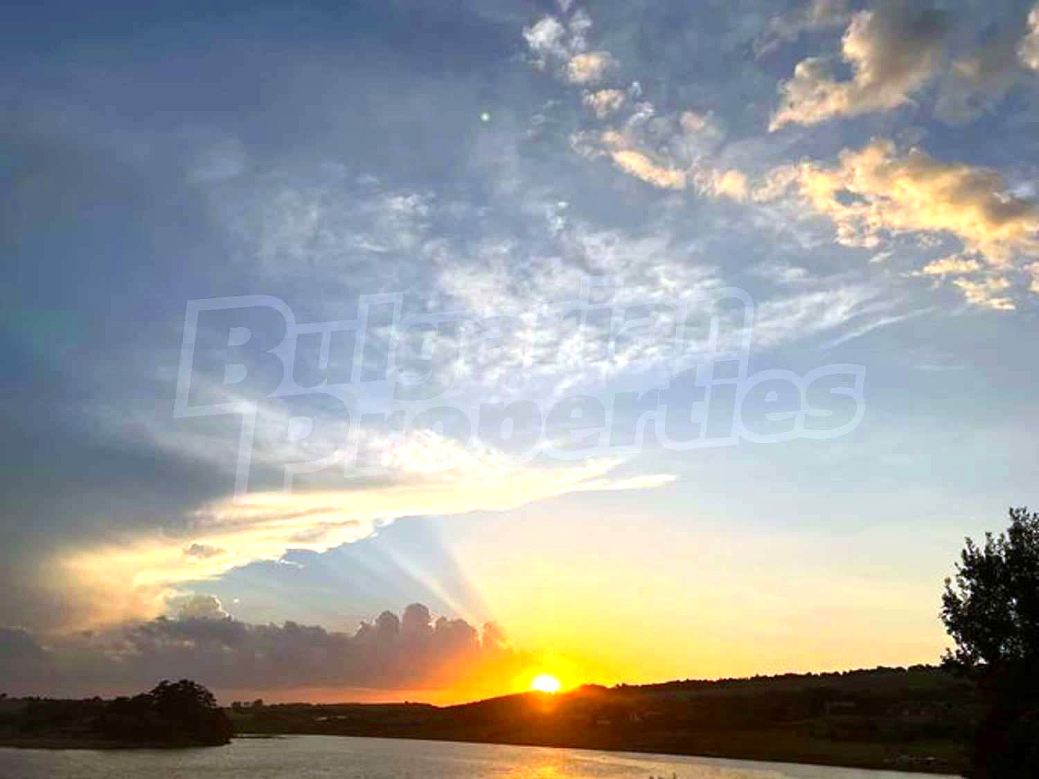 Gallery Picture 31