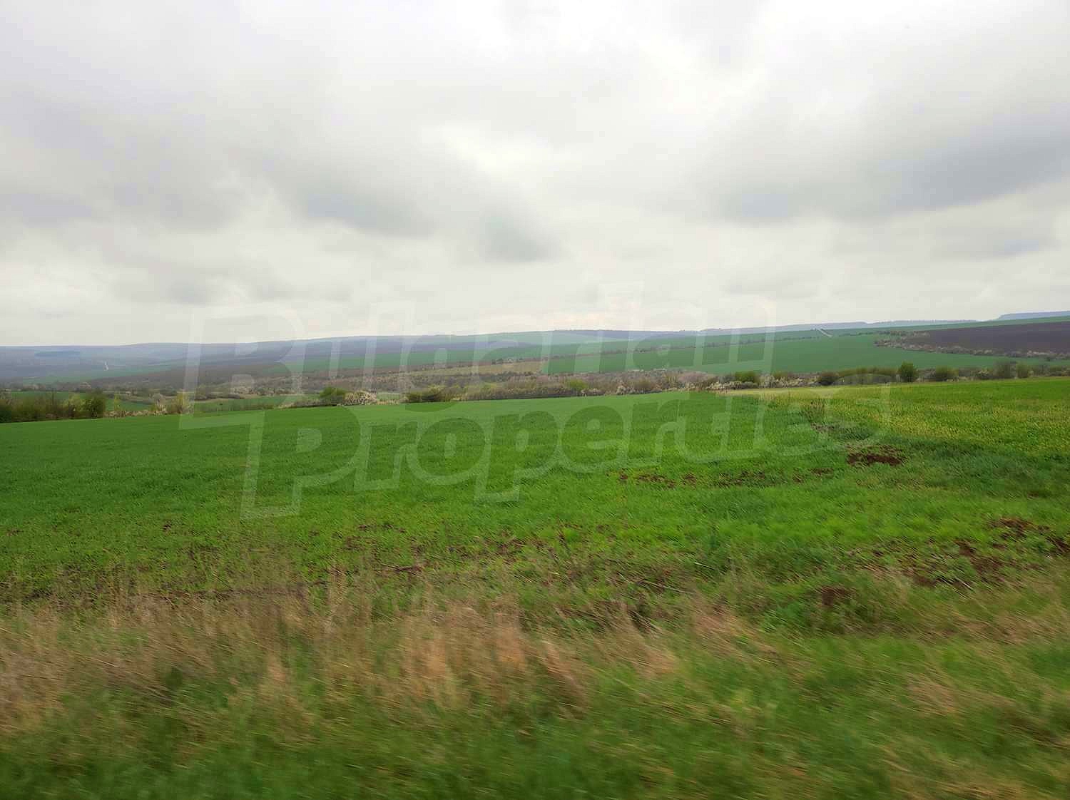 Gallery Picture 29