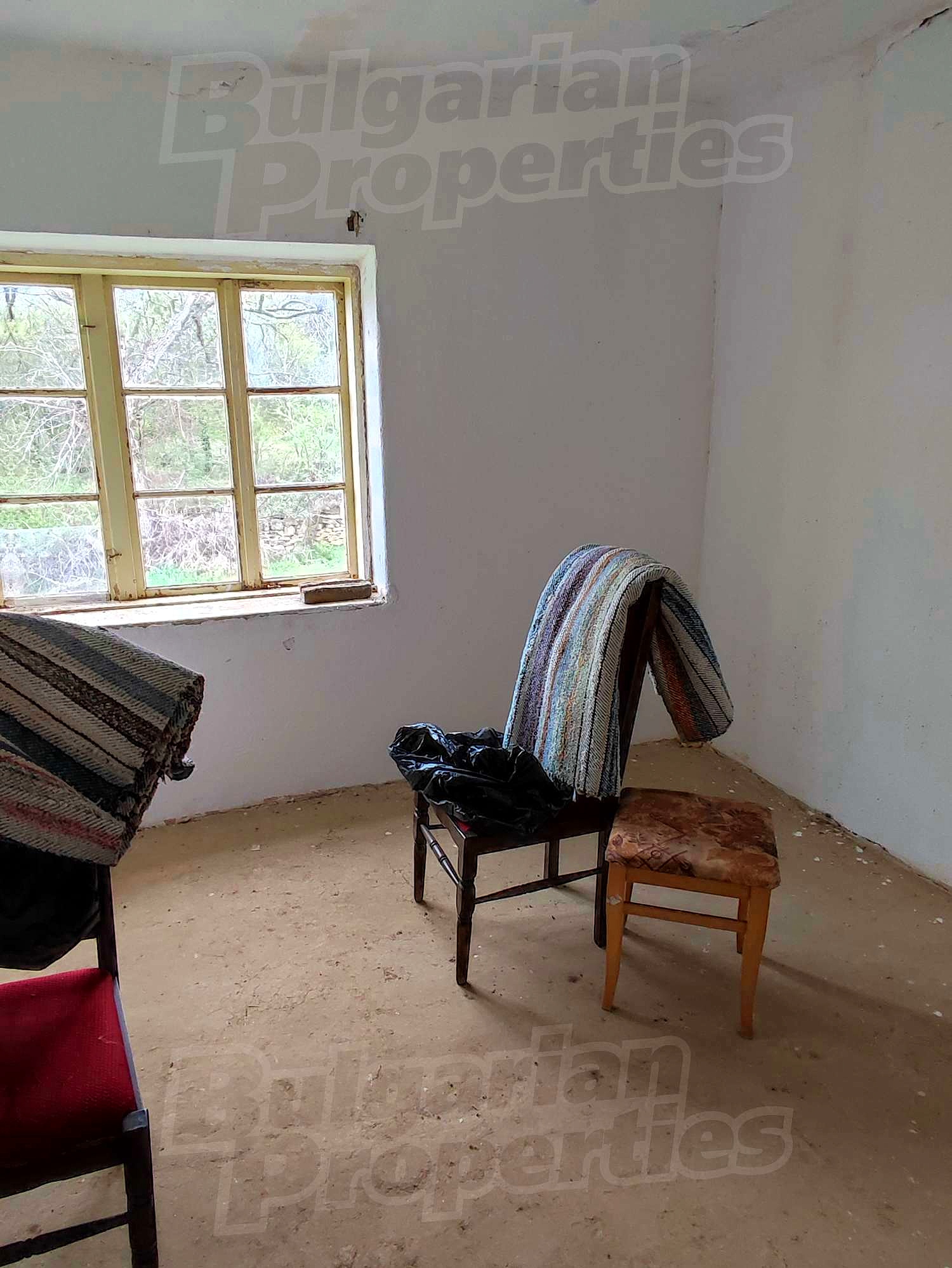 Gallery Picture 10