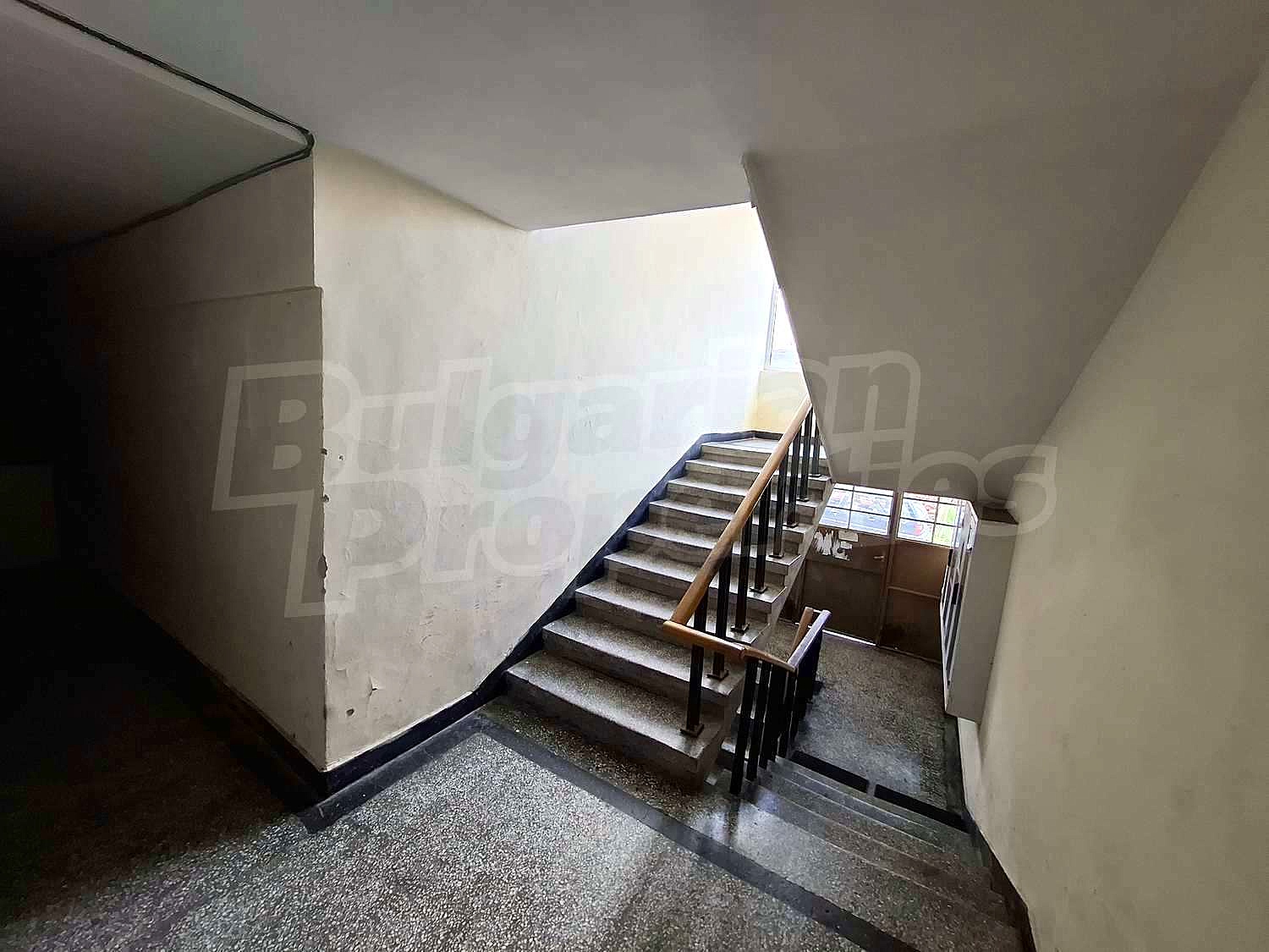 Gallery Picture 18