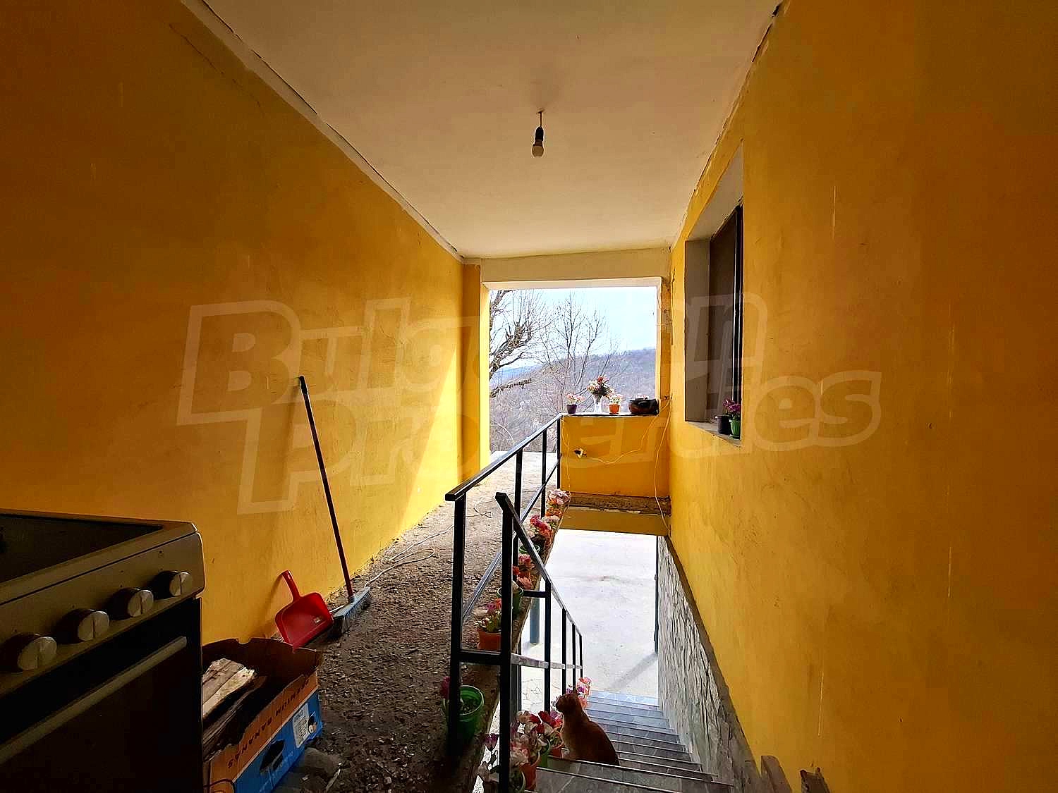 Gallery Picture 21