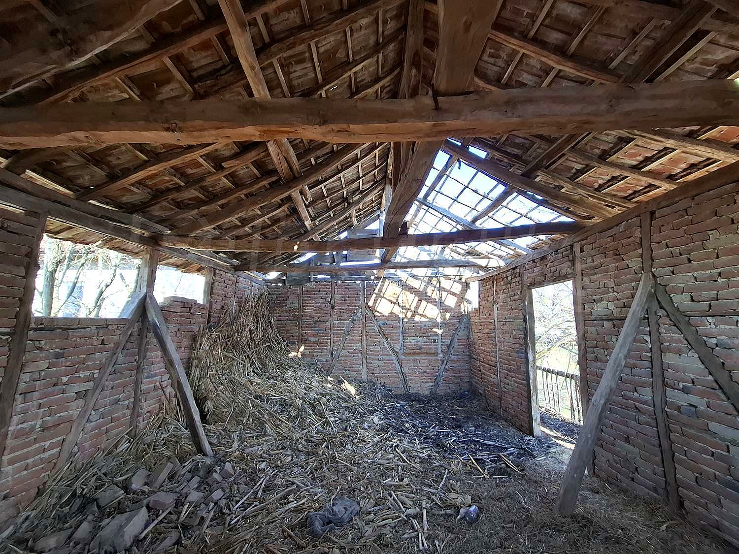 Gallery Picture 31