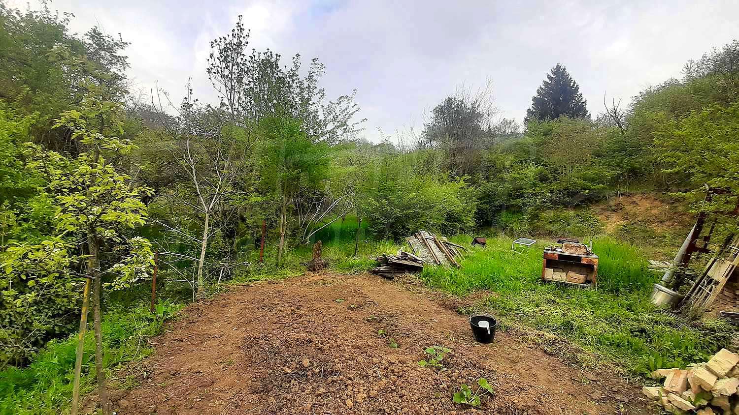 Gallery Picture 5