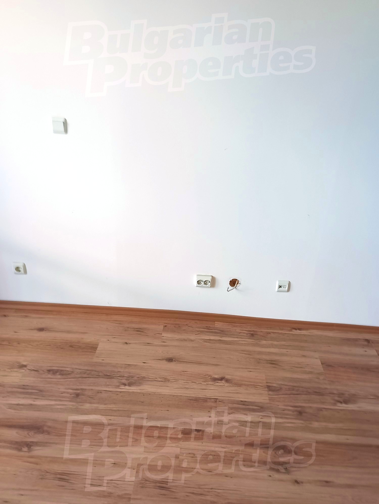 Gallery Picture 9
