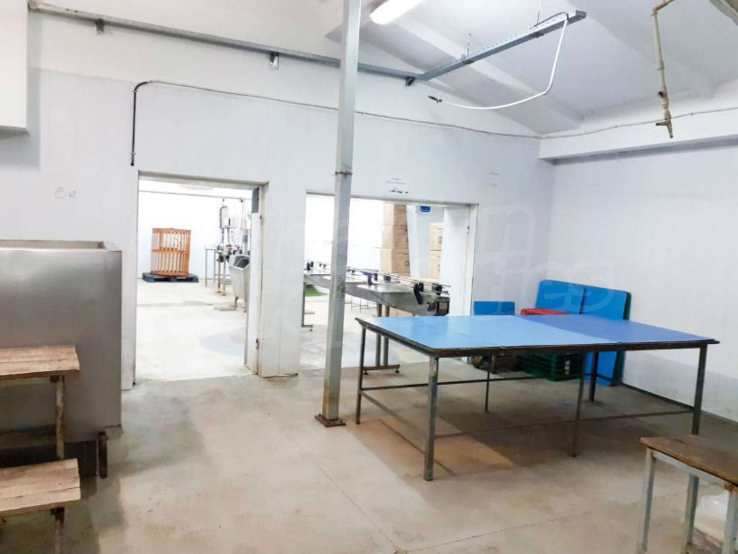 Gallery Picture 15
