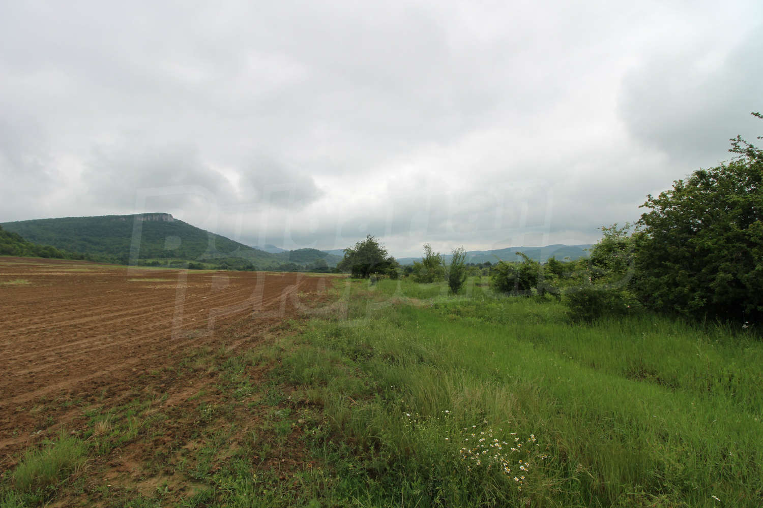 Gallery Picture 11