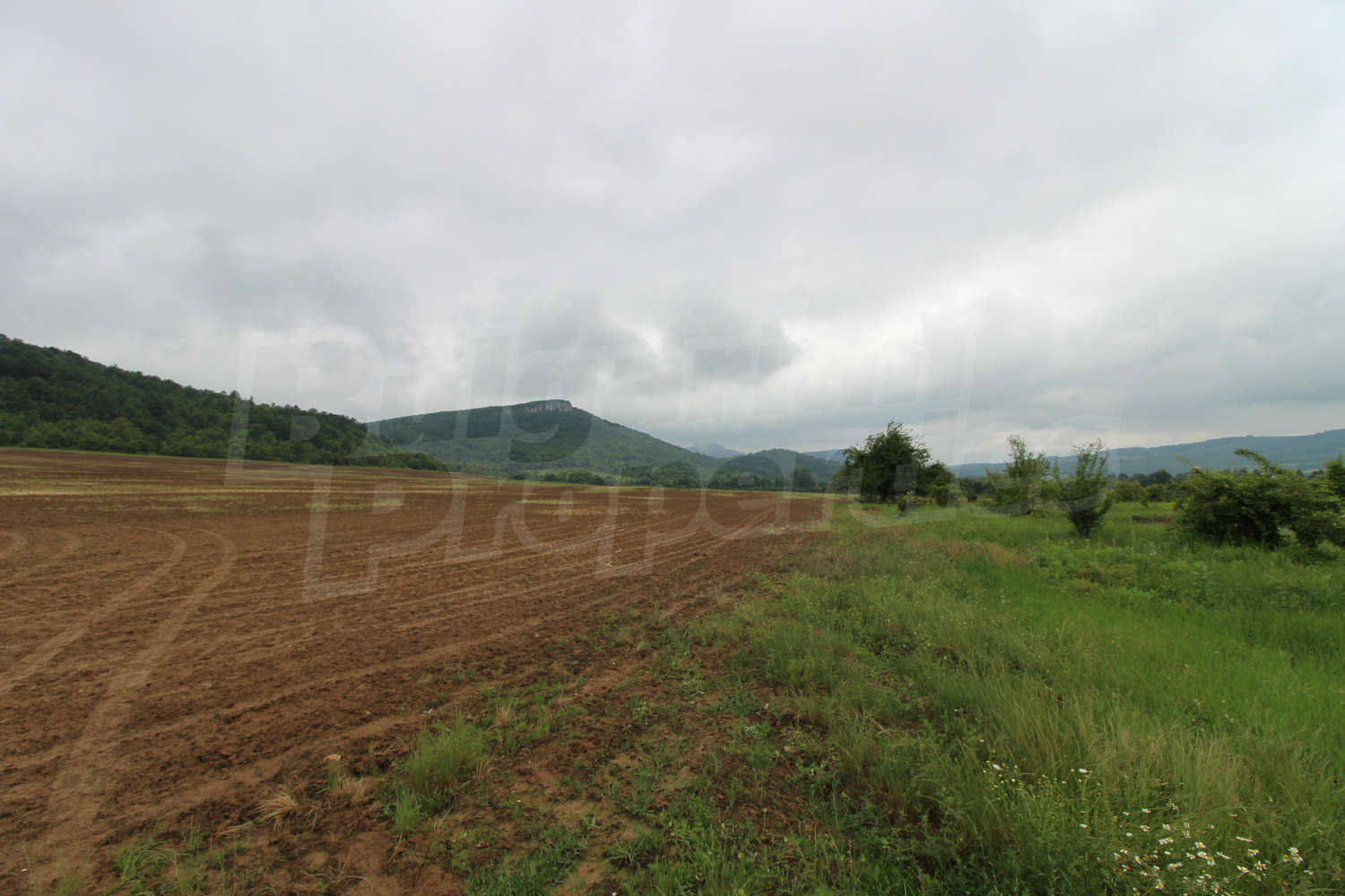 Gallery Picture 12