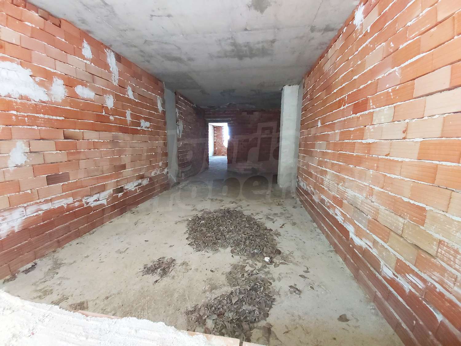 Gallery Picture 16