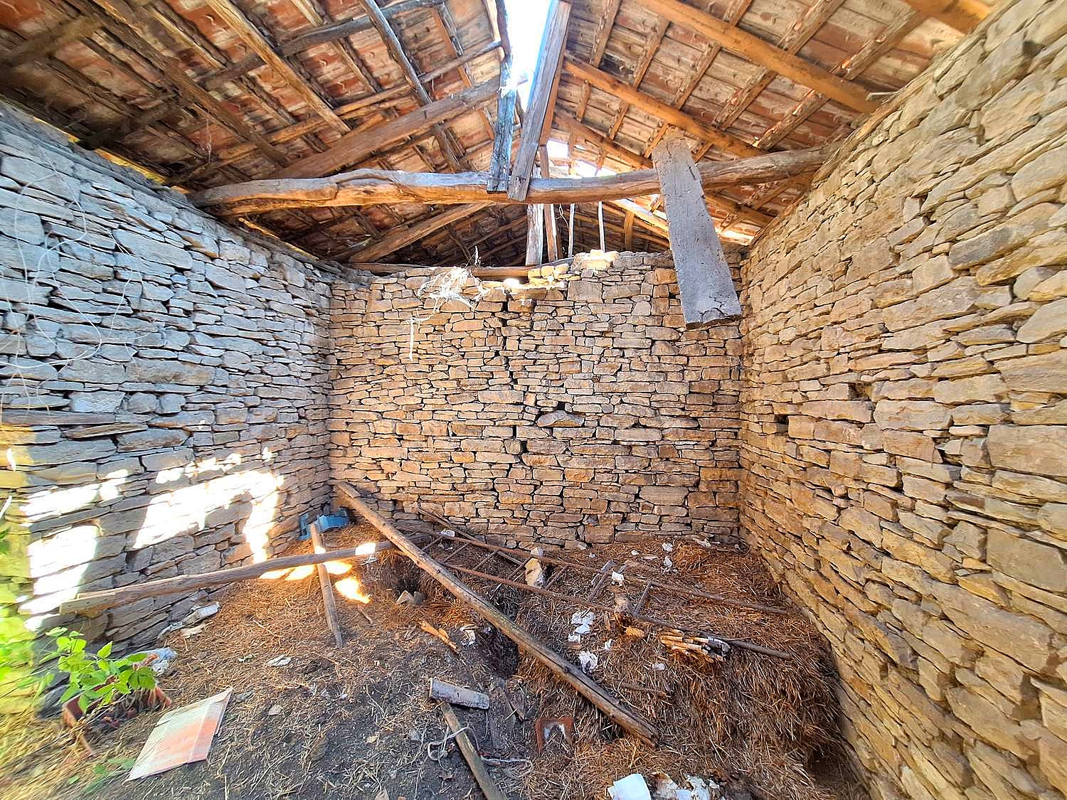 Gallery Picture 5