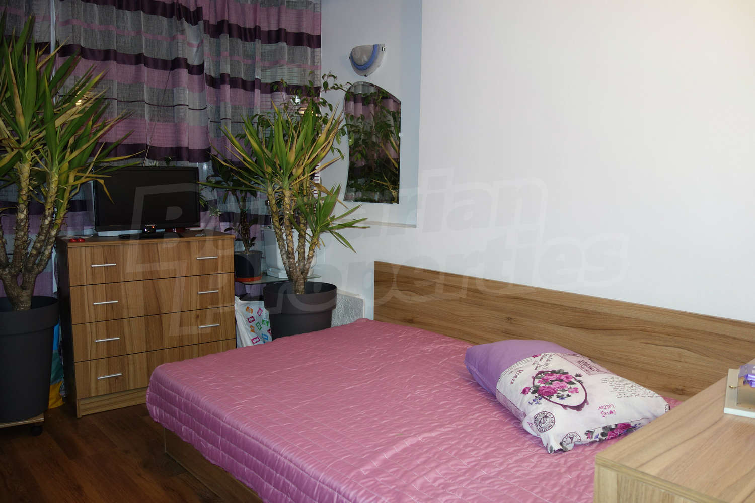 Gallery Picture 15