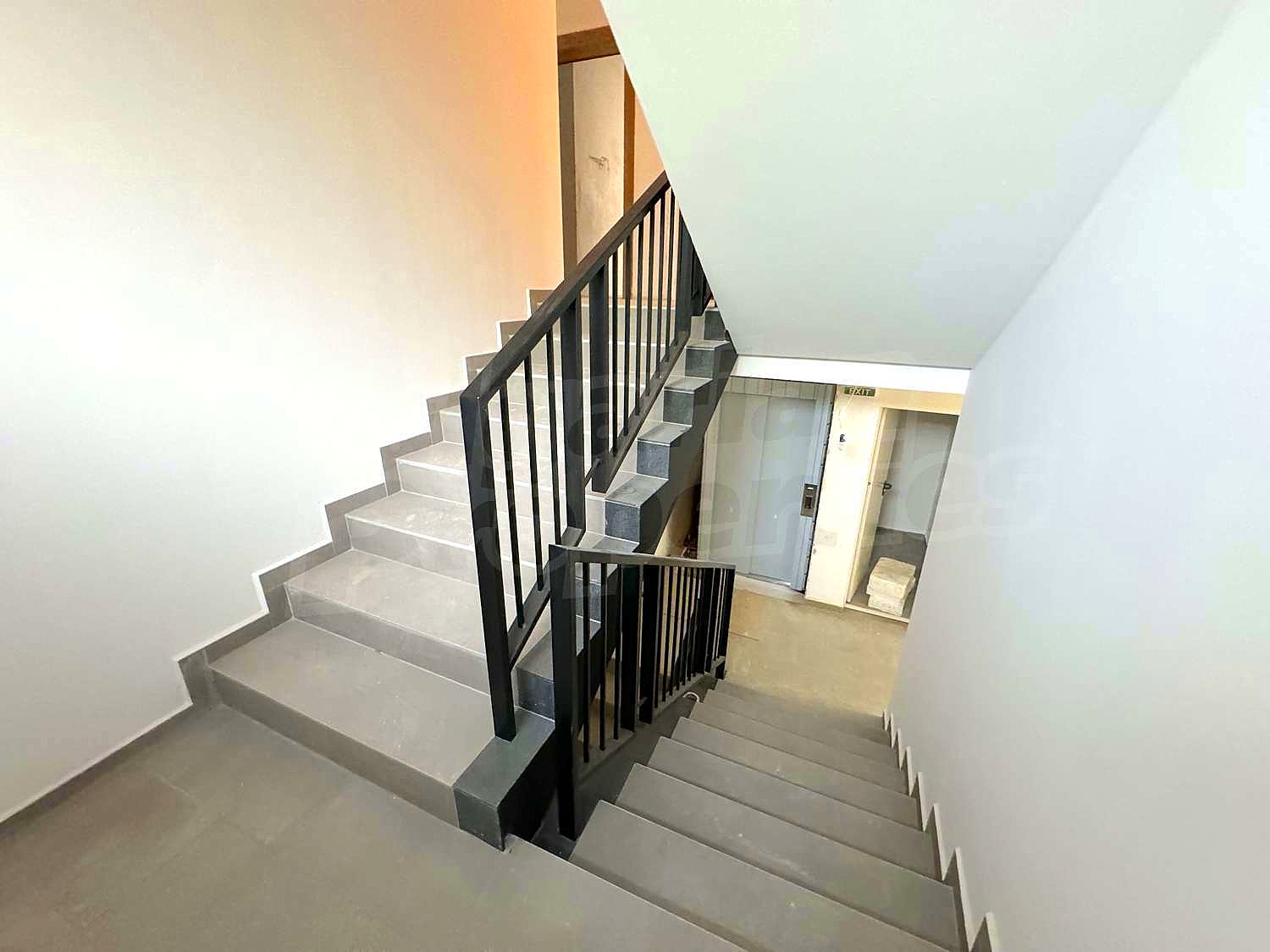 Gallery Picture 48