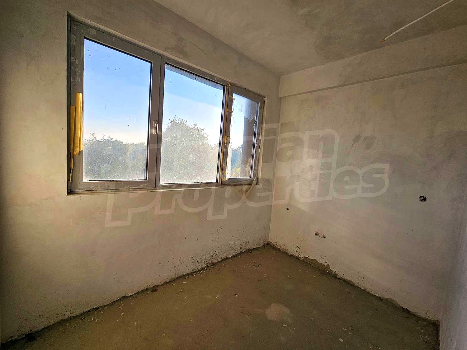 Gallery Picture 33