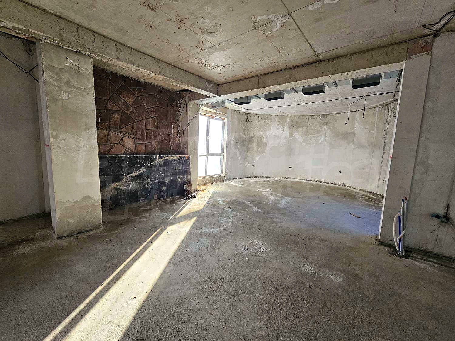 Gallery Picture 14