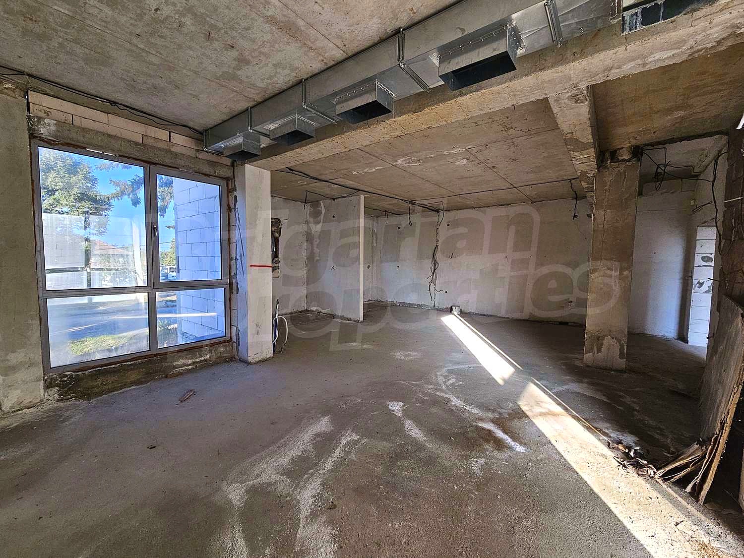 Gallery Picture 15